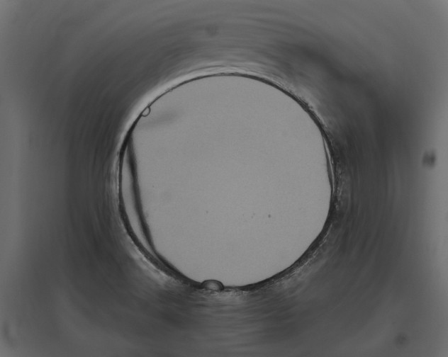 X0000097001516200803071105