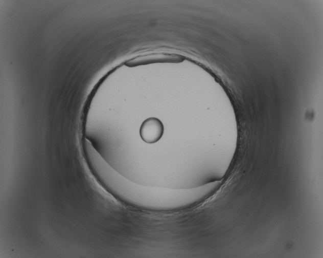 X0000097001518200803071105