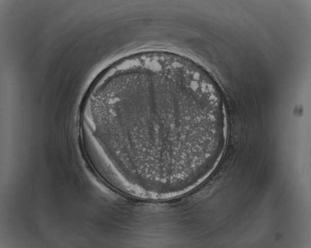 X0000097001519200803071105