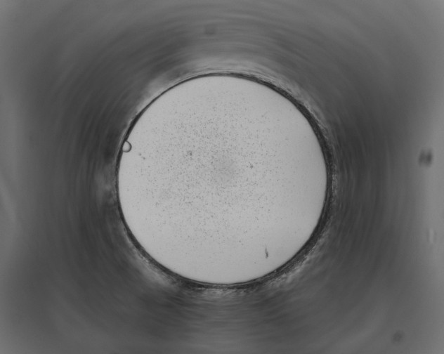 X0000097001521200803071105