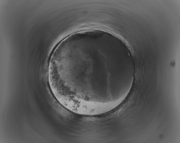 X0000097001522200803071105