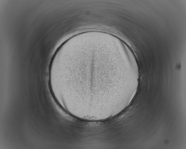 X0000097001523200803071105