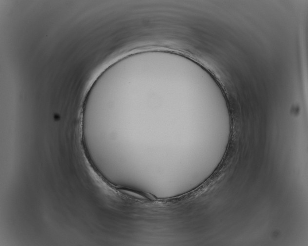 X0000097001524200803071105