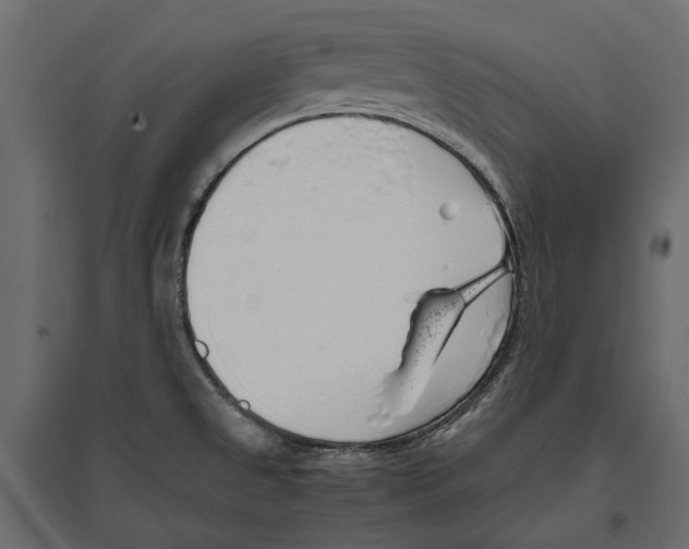 X0000097001525200803071105