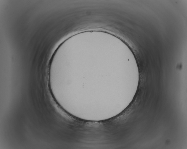 X0000097001526200803071105