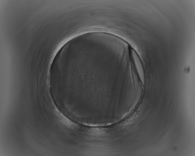 X0000097001527200803071105