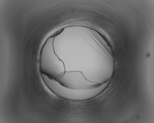 X0000097001528200803071105