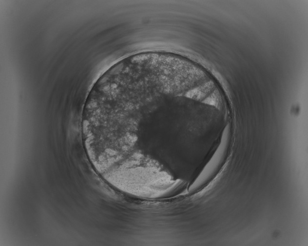 X0000097001529200803071105