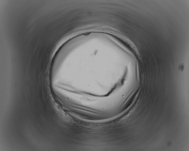 X0000097001530200803071105