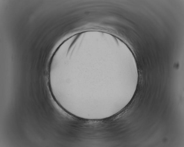 X0000097001531200803071105