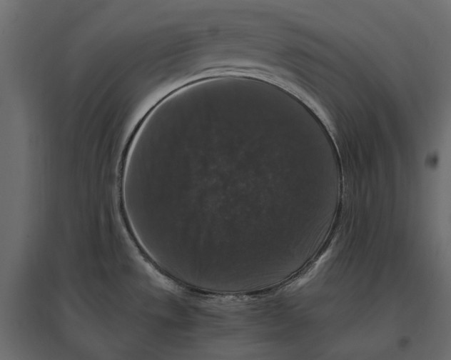 X0000097001533200803071105