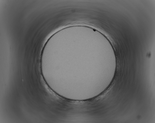 X0000097001534200803071105