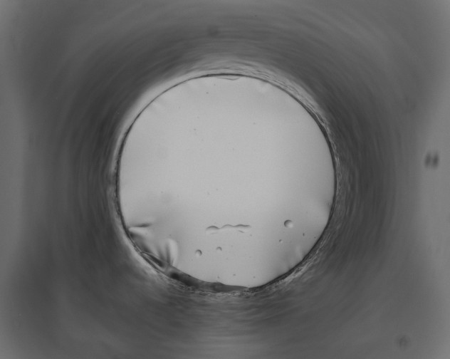 X0000097001536200803071105