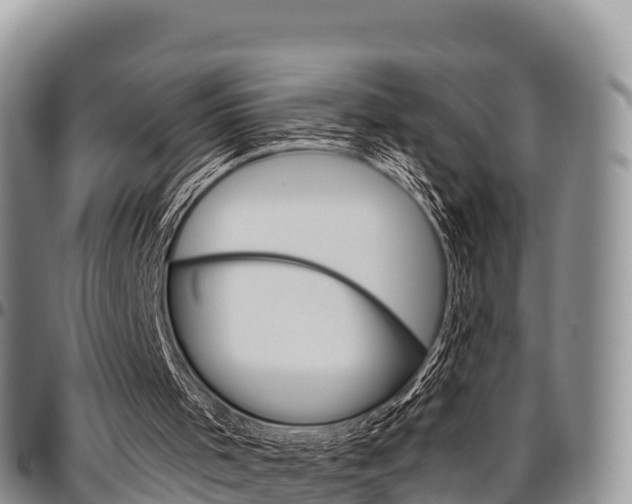 X0000097290001200802151110