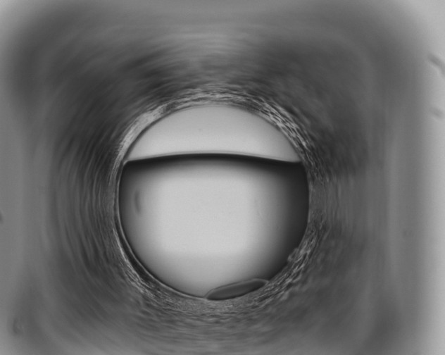 X0000097290003200802151110