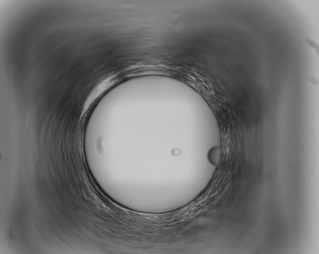 X0000097290004200802151109