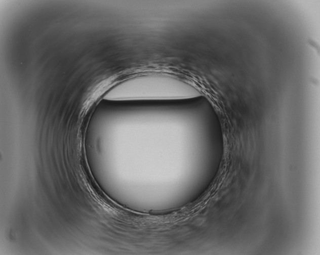 X0000097290005200802151109