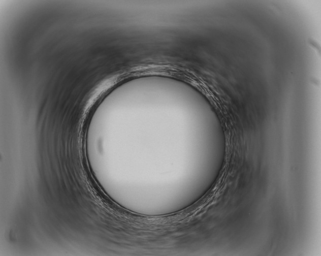 X0000097290006200802151109