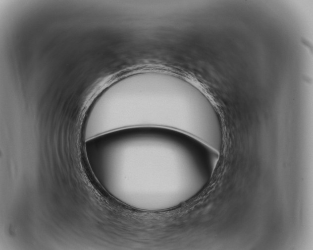 X0000097290007200802151109