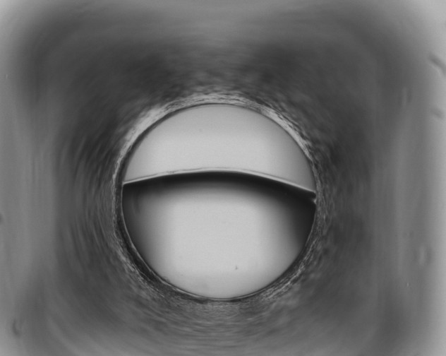 X0000097290008200802151109