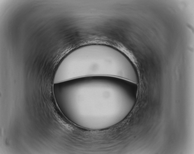 X0000097290009200802151109