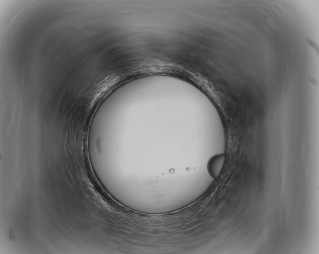 X0000097290010200802151109