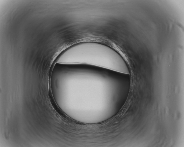 X0000097290011200802151109
