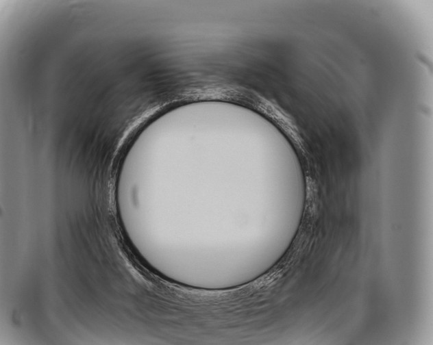 X0000097290012200802151109