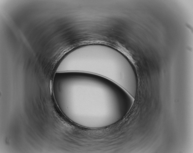 X0000097290013200802151109