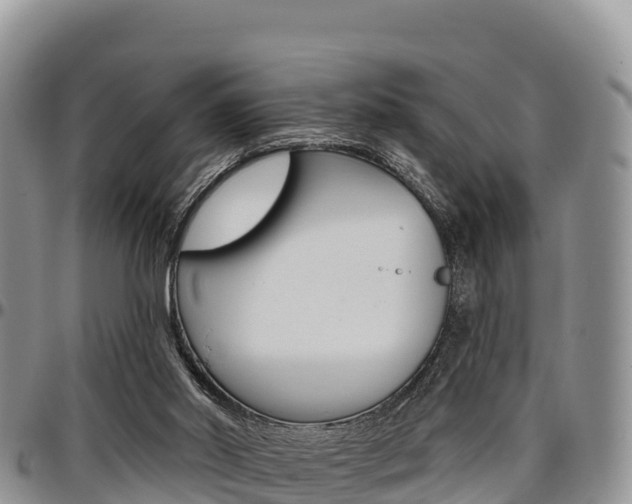 X0000097290014200802151109