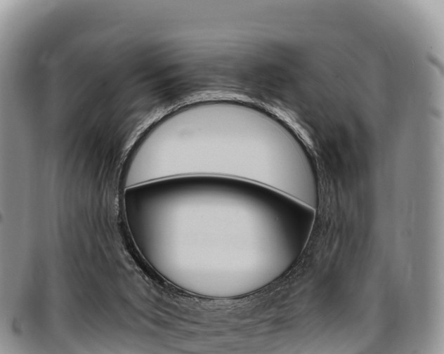 X0000097290015200802151109