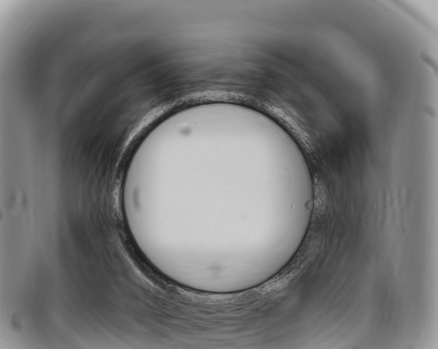 X0000097290016200802151109