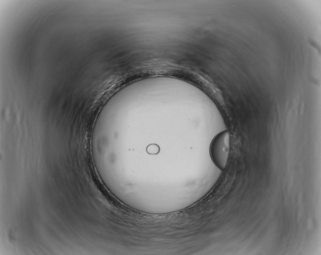 X0000097290018200802151109