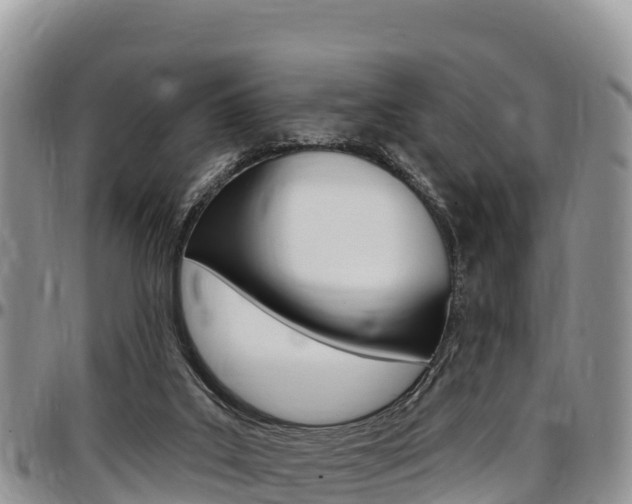 X0000097290019200802151109