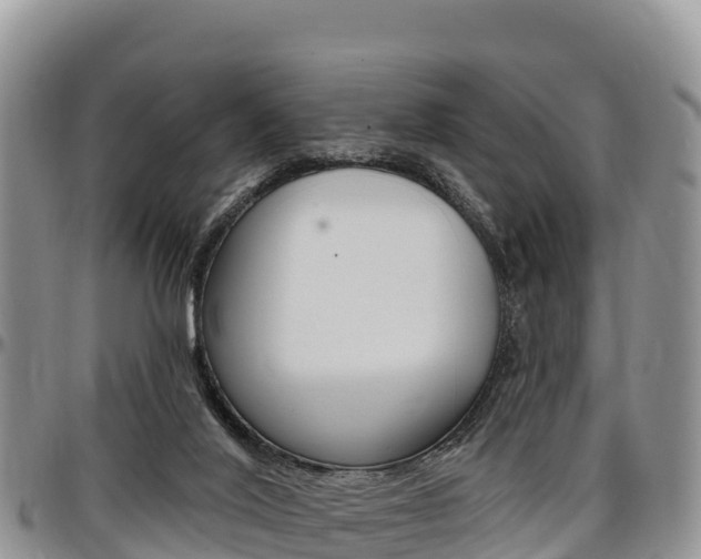 X0000097290020200802151109