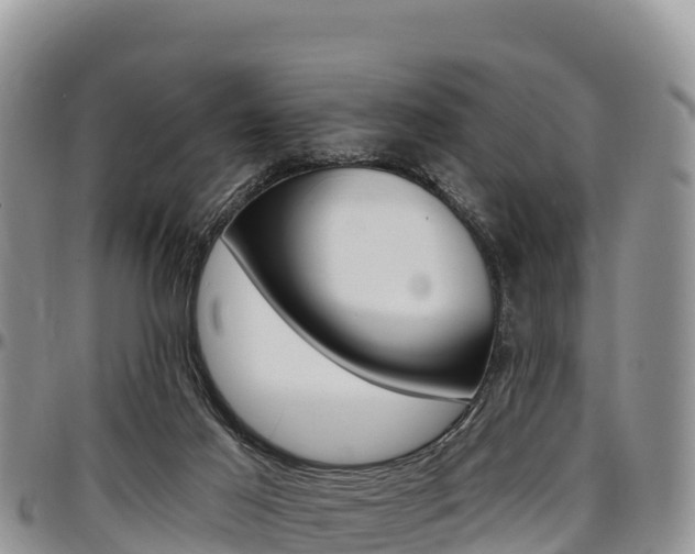 X0000097290021200802151109