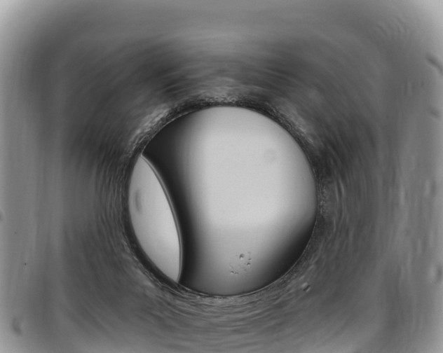 X0000097290023200802151109
