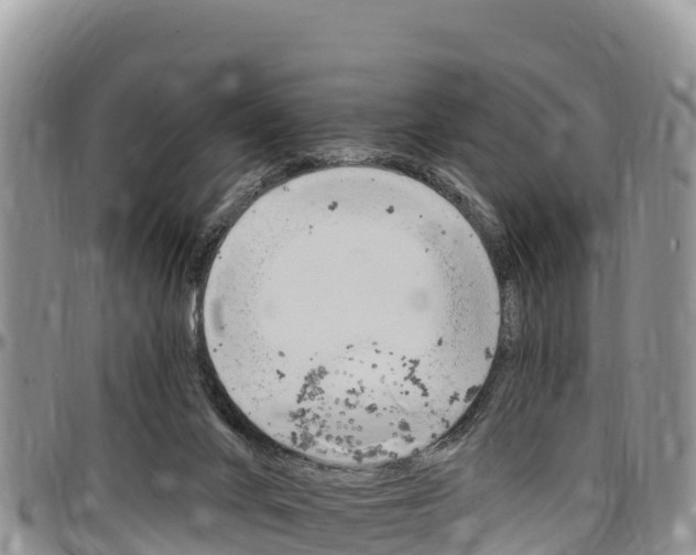 X0000097290024200802151109