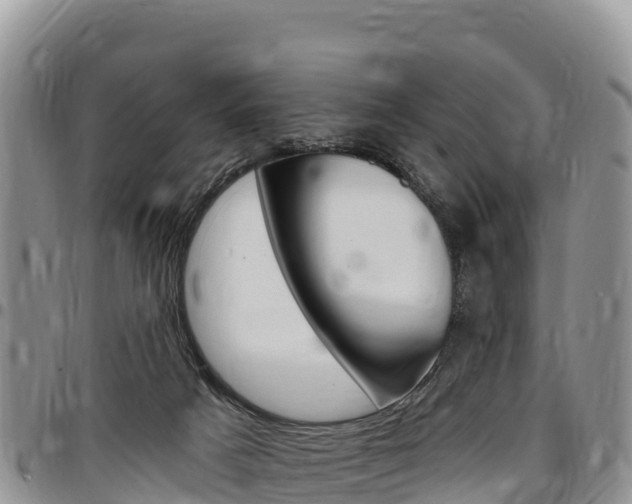X0000097290025200802151109