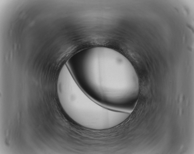 X0000097290027200802151109