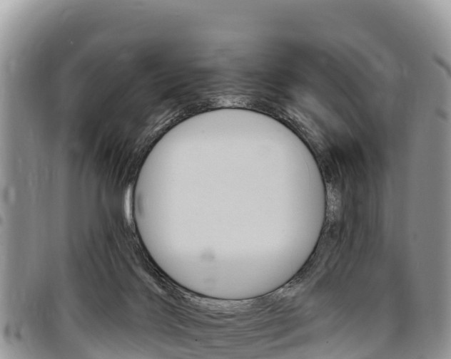 X0000097290028200802151109