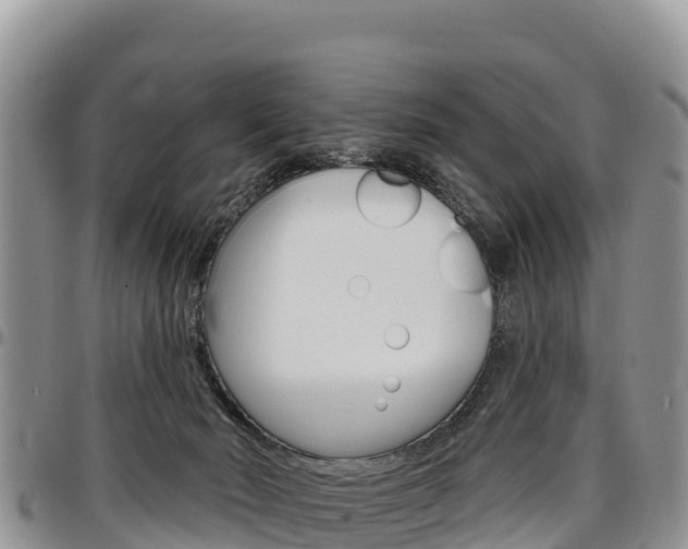 X0000097290030200802151109