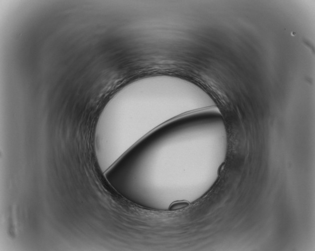 X0000097290031200802151109