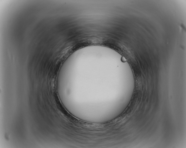 X0000097290032200802151109