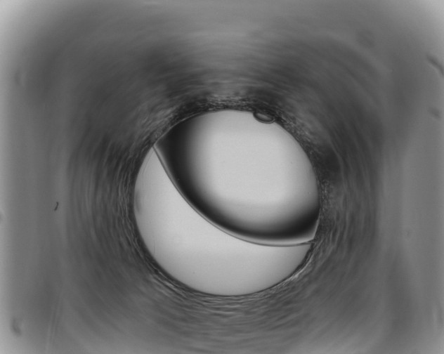X0000097290033200802151109
