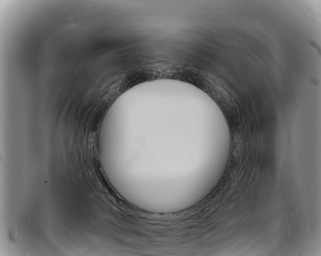X0000097290034200802151109