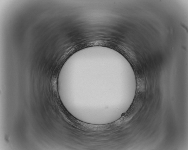 X0000097290036200802151109