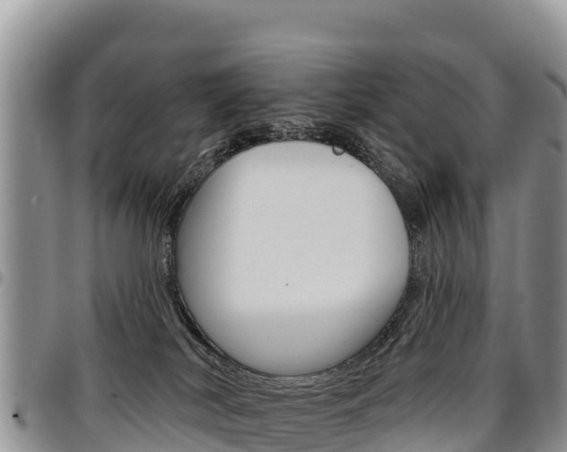 X0000097290038200802151109
