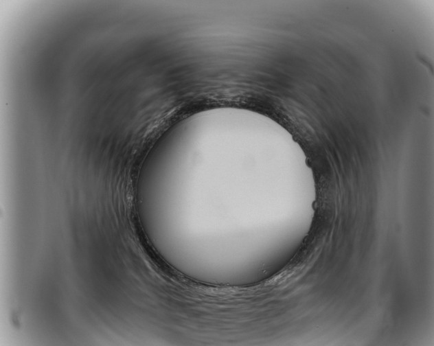 X0000097290040200802151109