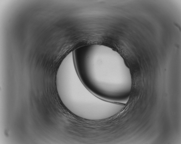 X0000097290041200802151109